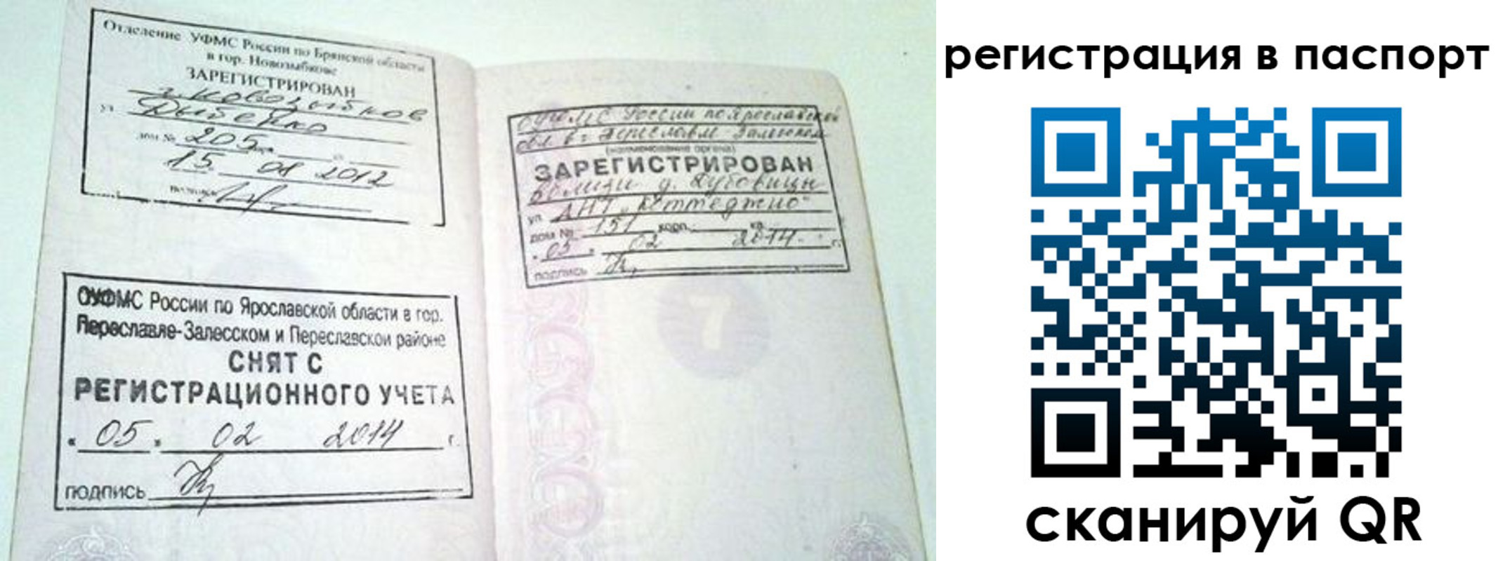 прописка в квартире в Фрязино
